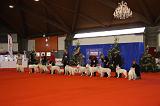 EXPO - BERGER BLANC SUISSE 069
